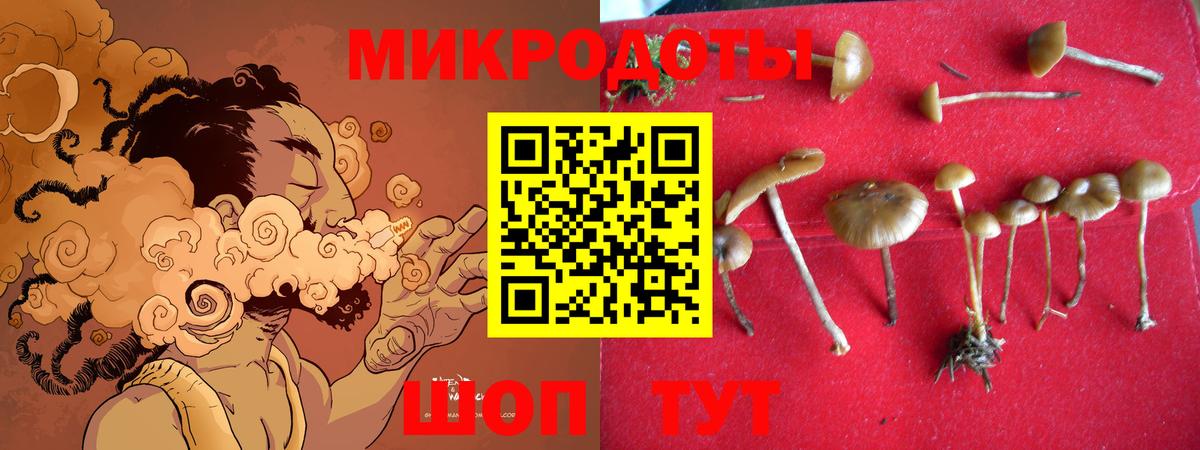 Галлюциногенные грибы мицелий Черняховск